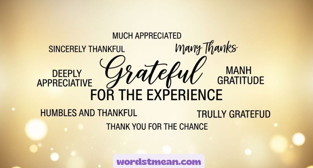 Other Ways to Say “Thank You for the Opportunity”