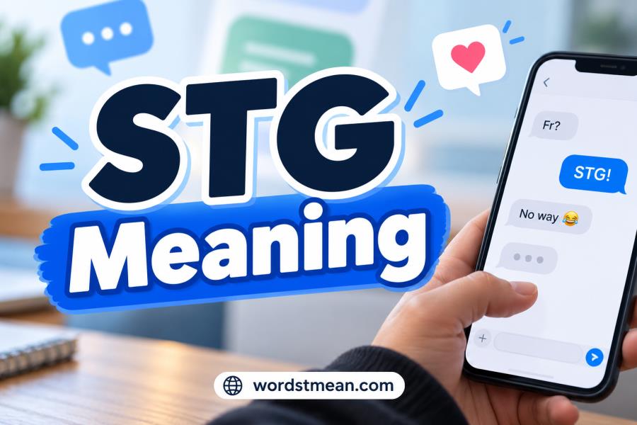 STG Meaning